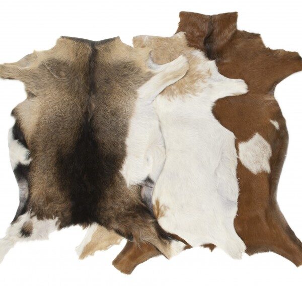 Animal Hide