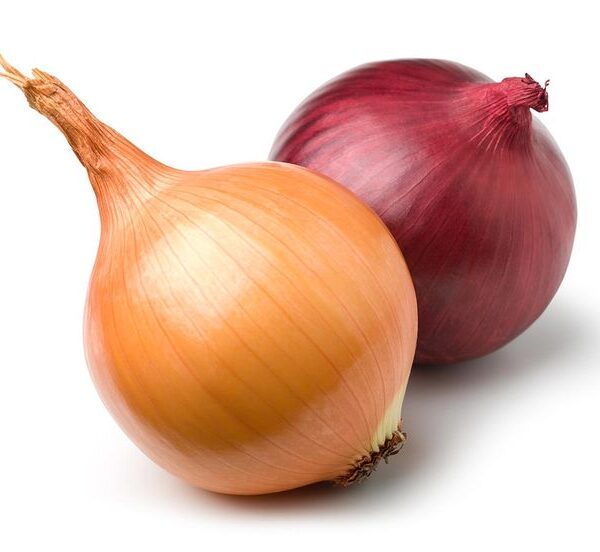 Fresh Onion