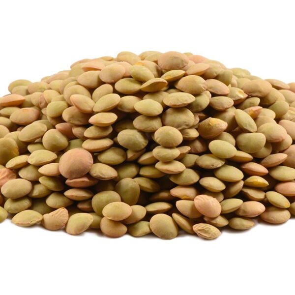 Green Lentils