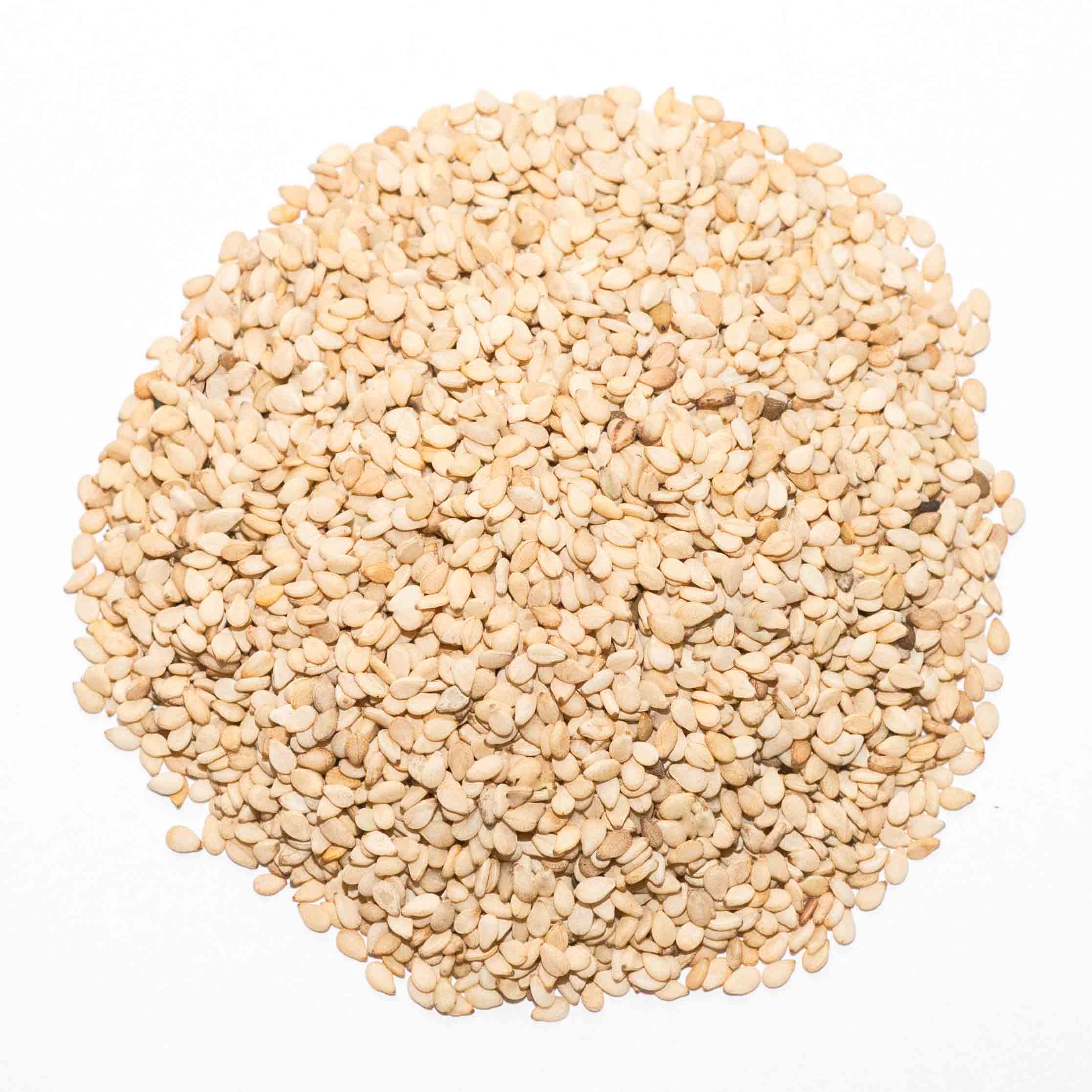 Sesame-Seed.jpg