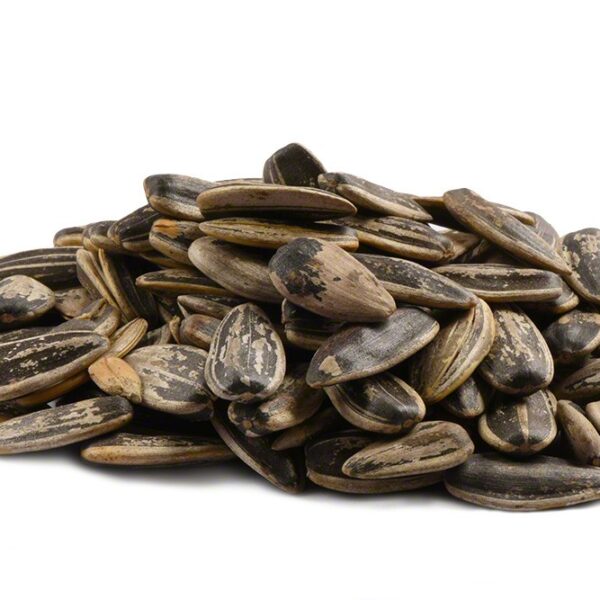 Roasted Unsalted Sunflower Seeds In Shell