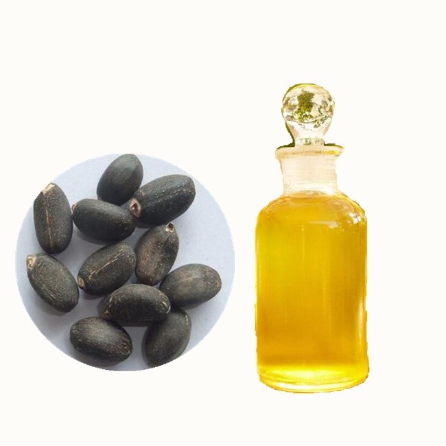 jatropha-oil-jatropha-oil-biodiesel-Crude-Refined.jpg