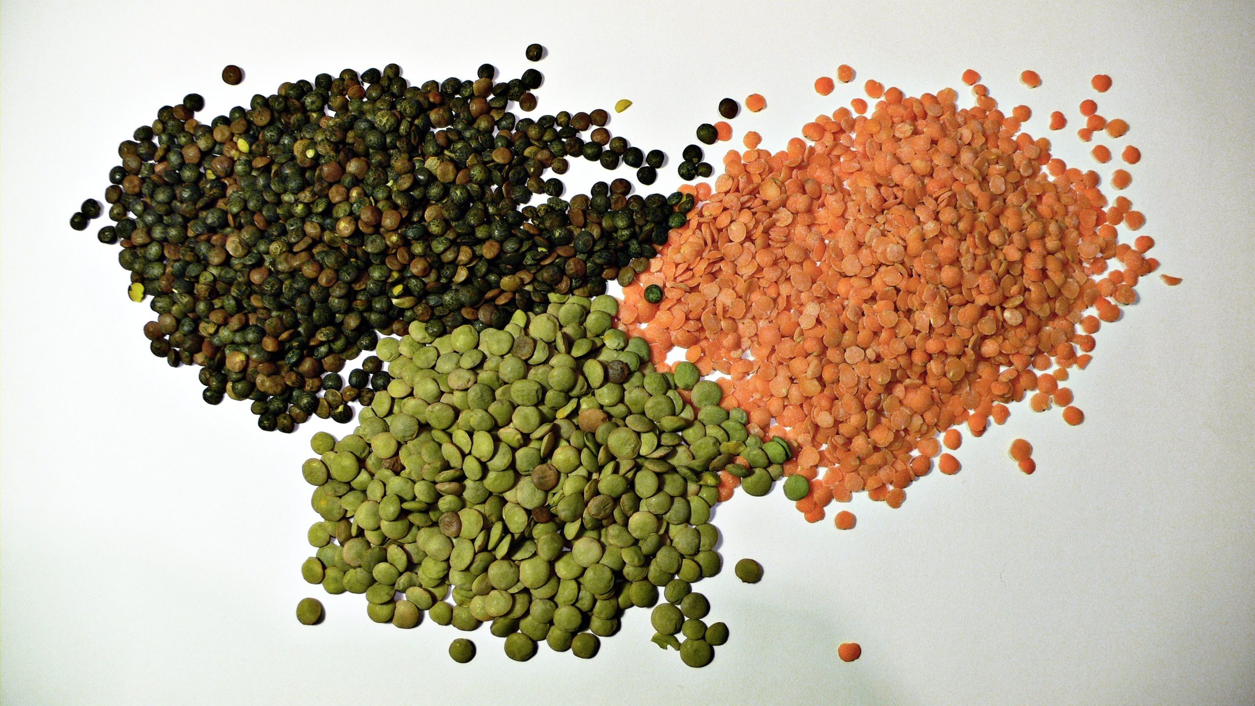 lentil-scaled-1.jpg